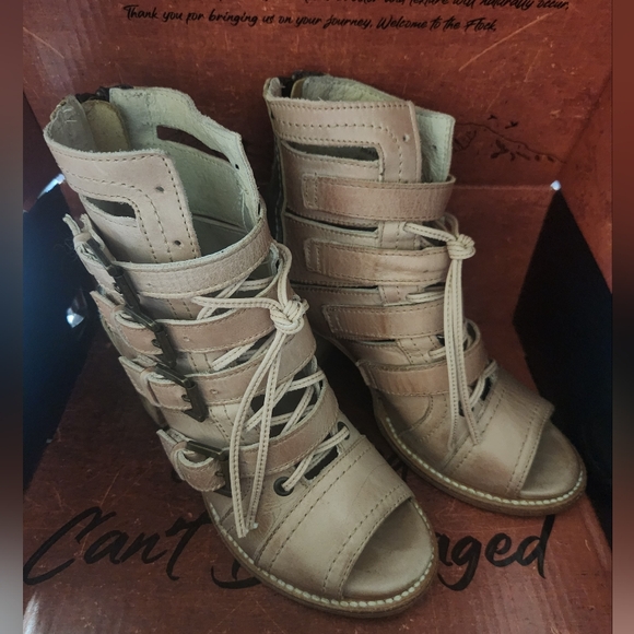 Freebird by Steven Braeden - Picture 1 of 3